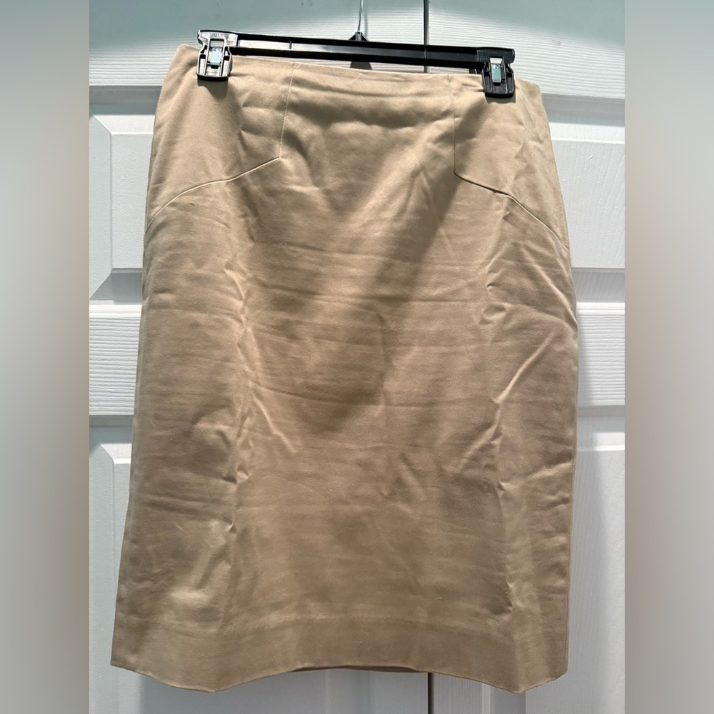 The Limited skirt. Size 2